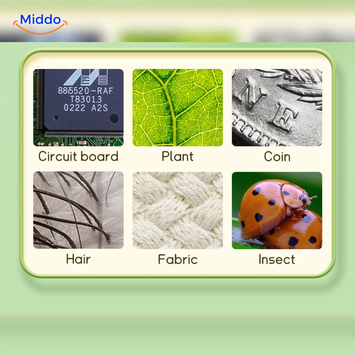 LED illumination provides bright, high-resolution viewing of microscopic details.
