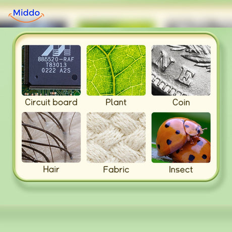 LED illumination provides bright, high-resolution viewing of microscopic details.
