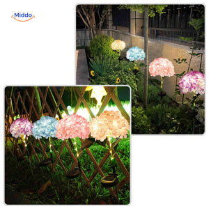 Mixed color hydrangea lanterns providing solar-powered outdoor garden illumination.