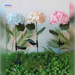 Mixed color hydrangea solar lantern set creating vibrant garden lighting display.