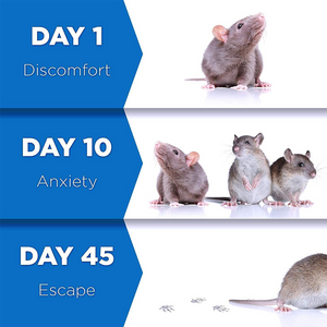 Ultrasonic pest repeller in action showing mouse and rodent deterrent technology.