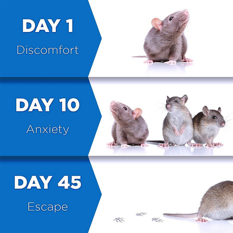 Ultrasonic pest repeller in action showing mouse and rodent deterrent technology.