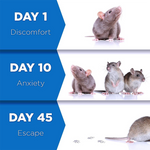 Ultrasonic pest repeller in action showing mouse and rodent deterrent technology.
