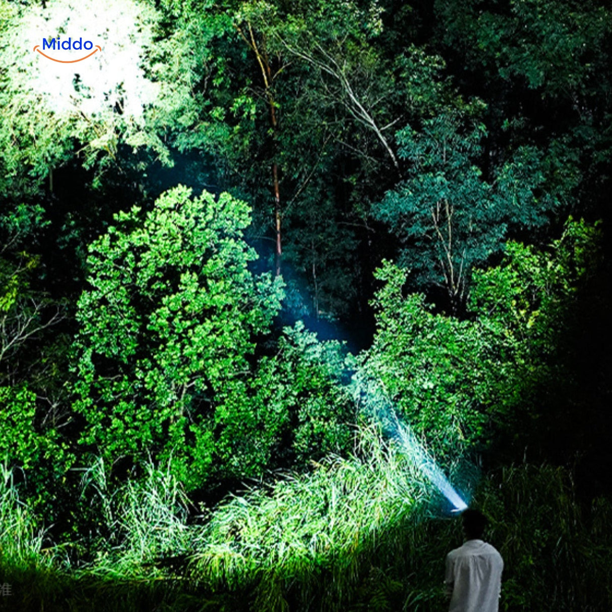 NightRay powerful beam lighting pathway through dark forest