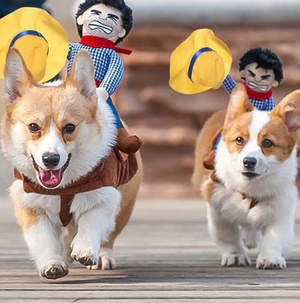 Pet Chucky cowboy costume variant for creative Halloween themed pet dress-up.