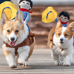 Pet Chucky cowboy costume variant for creative Halloween themed pet dress-up.