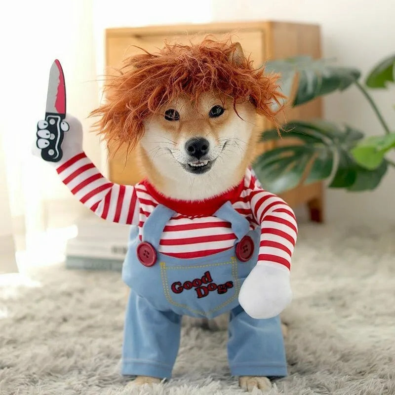 Shiba Inu dog in Chucky horror costume for Halloween.