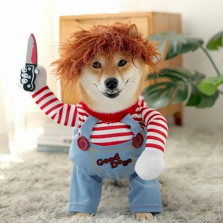 Shiba Inu dog in Chucky horror costume for Halloween.
