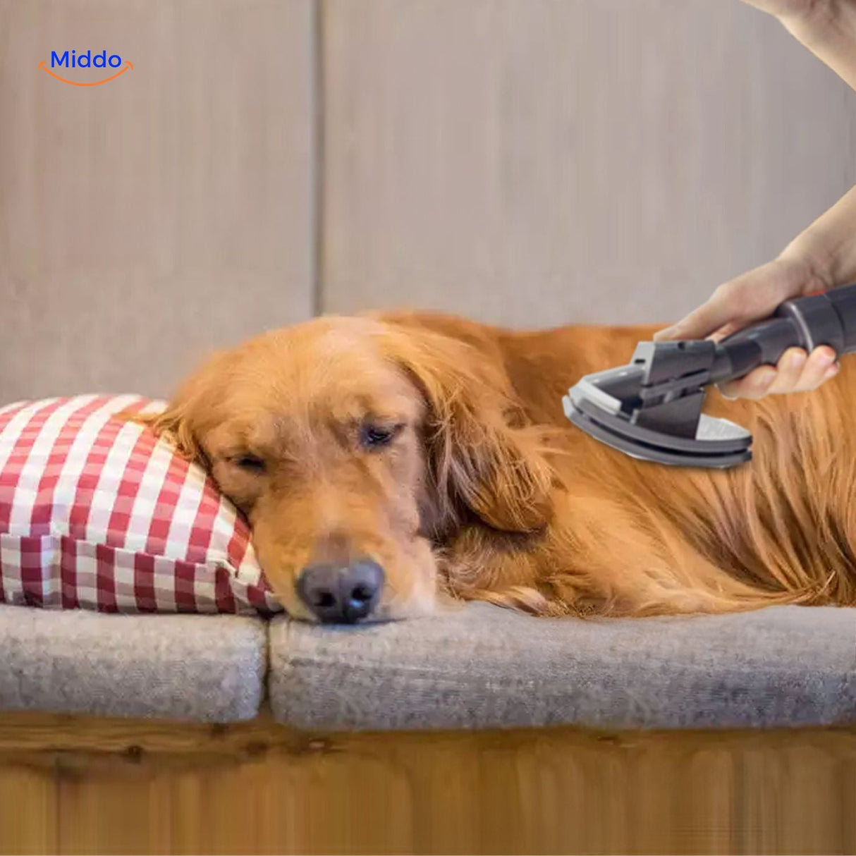 Pet hair removal accessory set for dog coat maintenance.
