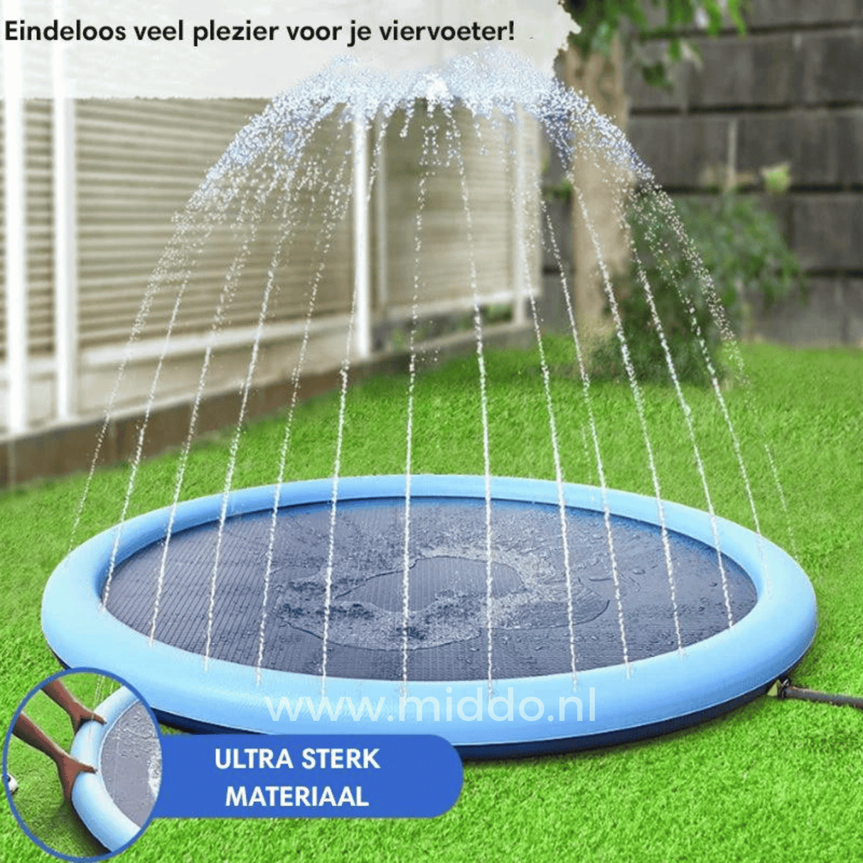 Pets enjoying summer water fun on sprinkler mat