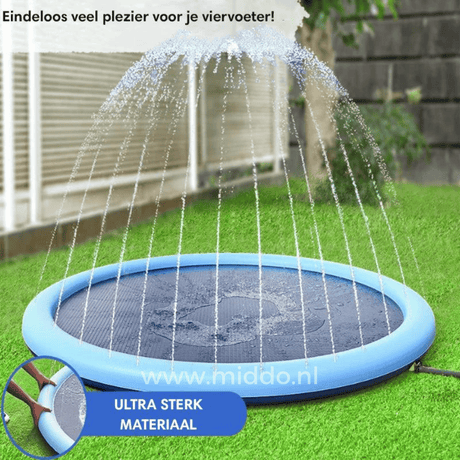 Pets enjoying summer water fun on sprinkler mat