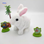 Cute pink plush bunny with soft floppy ears, a sweet and cuddly toy for kids and bunny fans.