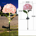 Pink hydrangea solar lantern 70cm height bringing soft light to garden spaces.