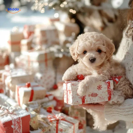Open gift box with a realistic plush bunny toy inside, ideal for a special gifting moment.