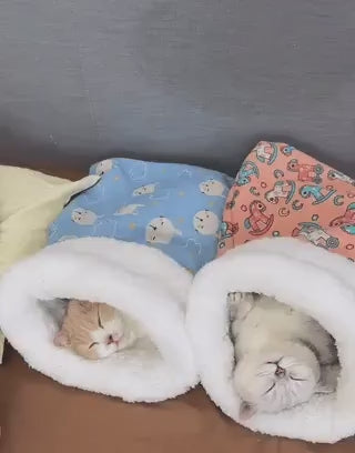 Cozy cat bed in blue and pink with two cats sleeping peacefully.