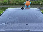 Fast-drying process showing BraidDry microfiber towel efficiently removing water.