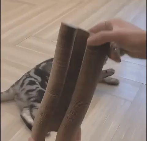 Cat scratching and relaxing on cardboard scratcher toy.
