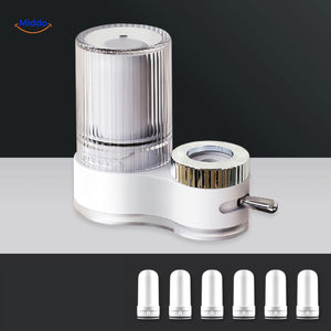 Gray PureFlow faucet with replaceable white water filter component.