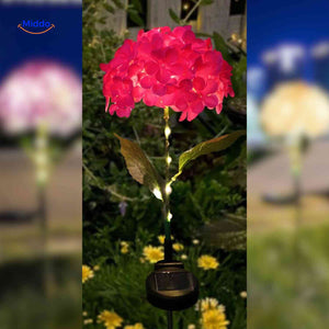 Red hydrangea solar lantern creating warm ambiance for garden pathways.
