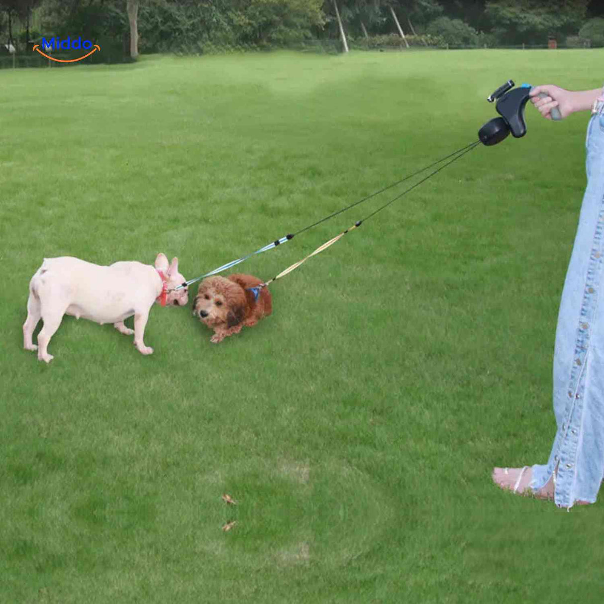 Two dogs on a grass field using the dual retractable leash safely.