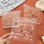 Sea treasures display case beautifully showcasing seashell and collectibles collection.