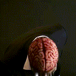 Halloween skeleton mask showing removable open head design and interior.