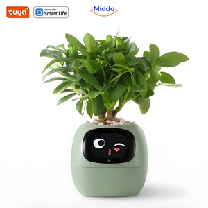 Self-watering planter available in purple and green finish color options.