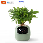 Self-watering planter available in purple and green finish color options.