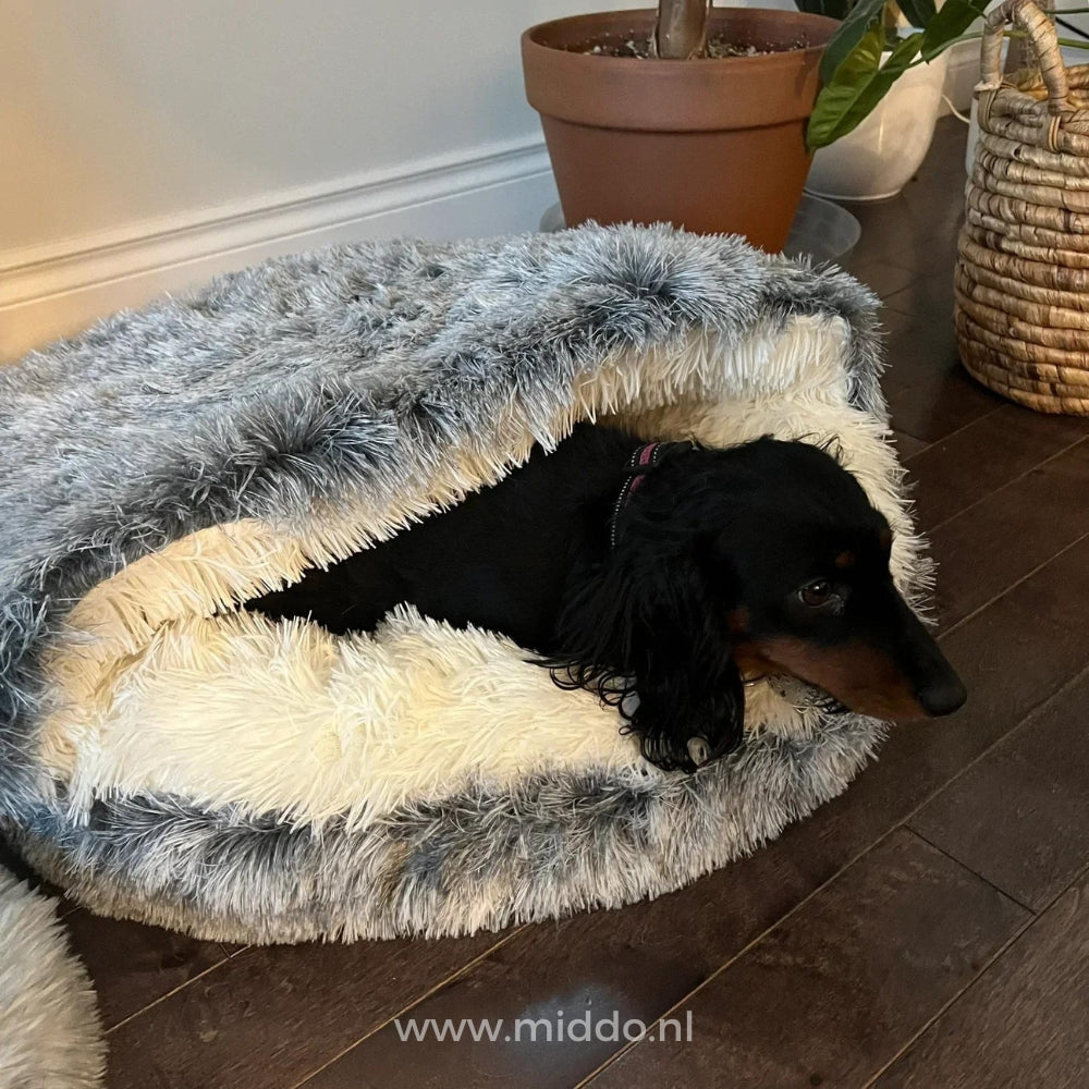 Comfortable pet bed featuring SoftSnuggle design for both dogs and cats.