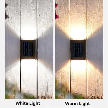 Solar lights emitting warm white and cool white lighting options.