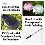 Solar hydrangea lantern specifications showing dimensions, materials, and features.