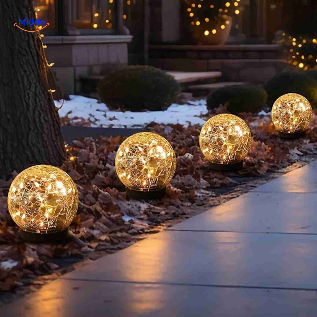 Solar garden lighting along driveway and winter garden setting.
