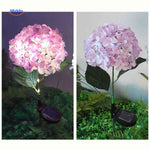 Florora solar lantern with rain-resistant design for durable outdoor garden use.