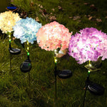 Florora solar lantern set with colorful LED light options for garden decoration.