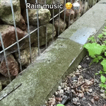 Steel tongue drum rain music experience demonstrating sound in nature.