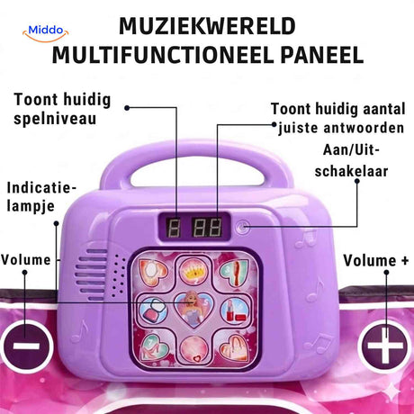 Music control panel with play level settings and volume adjustment