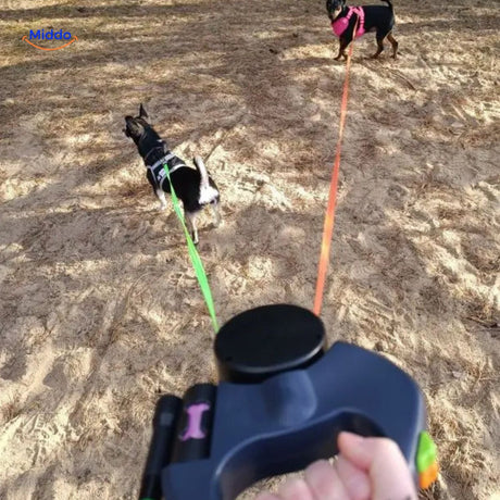 Two dogs on sandy beach with tangle-free dual retractable leash.