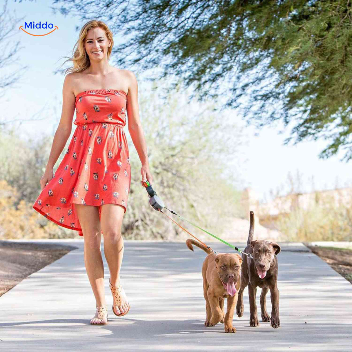 Two dogs enjoying a walk outdoors with the dual retractable leash system.