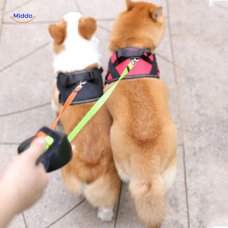 Two dogs walking side by side with tangle-free dual retractable leash.