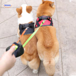 Two dogs walking side by side with tangle-free dual retractable leash.