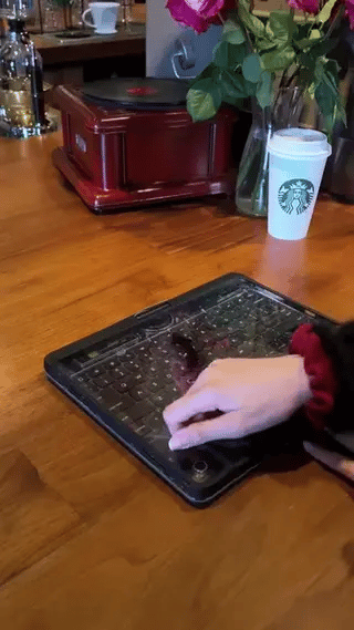 Waterproof washable keyboard case with transparent protective cover.