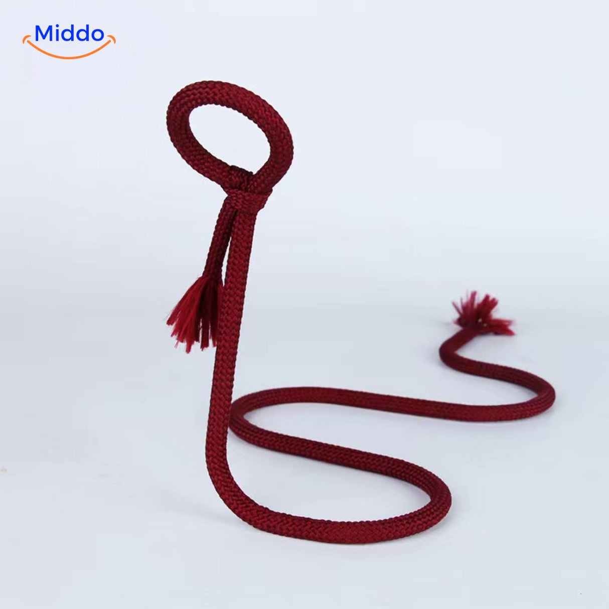 Wine bottle holder with red rope and decorative tassel.