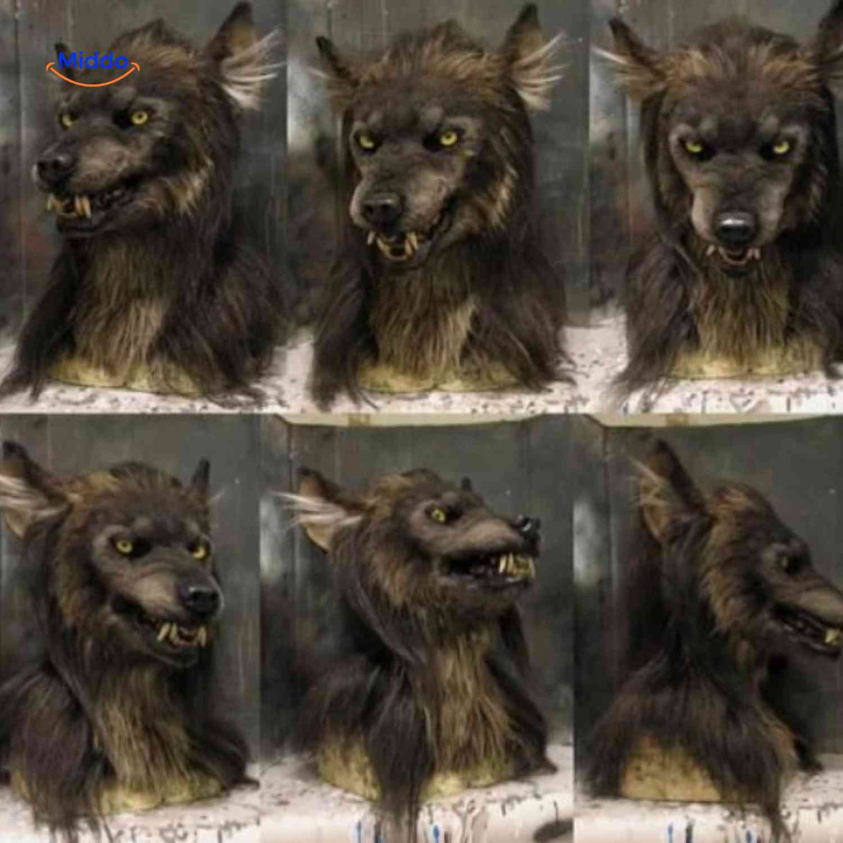 360-degree view of latex wolf mask showing realistic details from multiple angles.